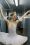 My Birthday present: my love performing Sugar Plum Fairy in Reno’s Nutcracker production! <3