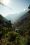 Jungle, Salkantay Trek, Pérou