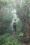 Woman hiking in the mist, Koke'e State Park, Kaua'i, Hawaii