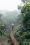 Woman hiking in the mist, Koke'e State Park, Kaua'i, Hawaii