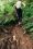 Kalalau Trail, Kaua'i, Hawaii