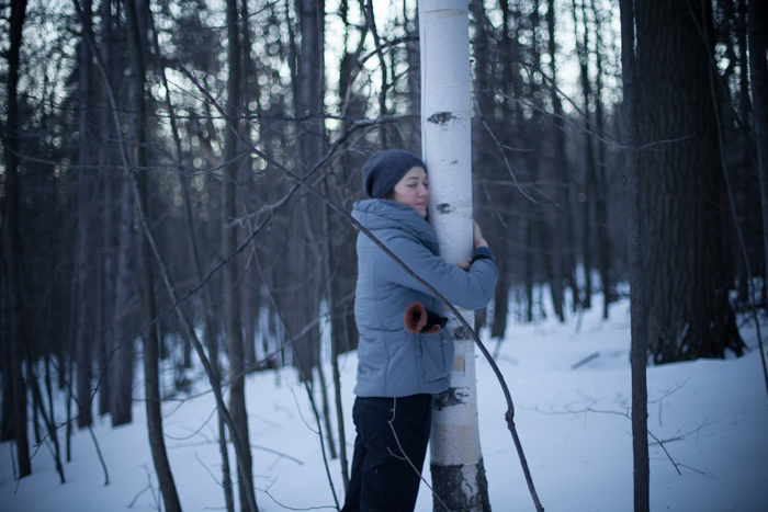 Calin à un arbre sur Mont Royal, Montréal