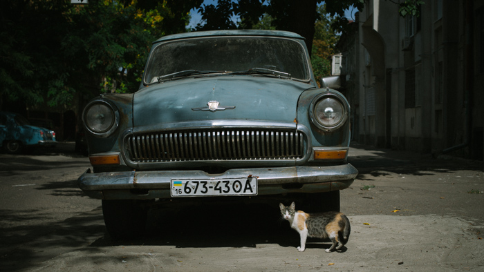 Chat devant une vieille voiture, Odessa, Ukraine