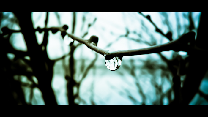 Berenger Zyla, i-am.bz, Bordeaux, France, Right Bank, Drop, Water, Water Drop, Suspension, Winter, Blue, Nature