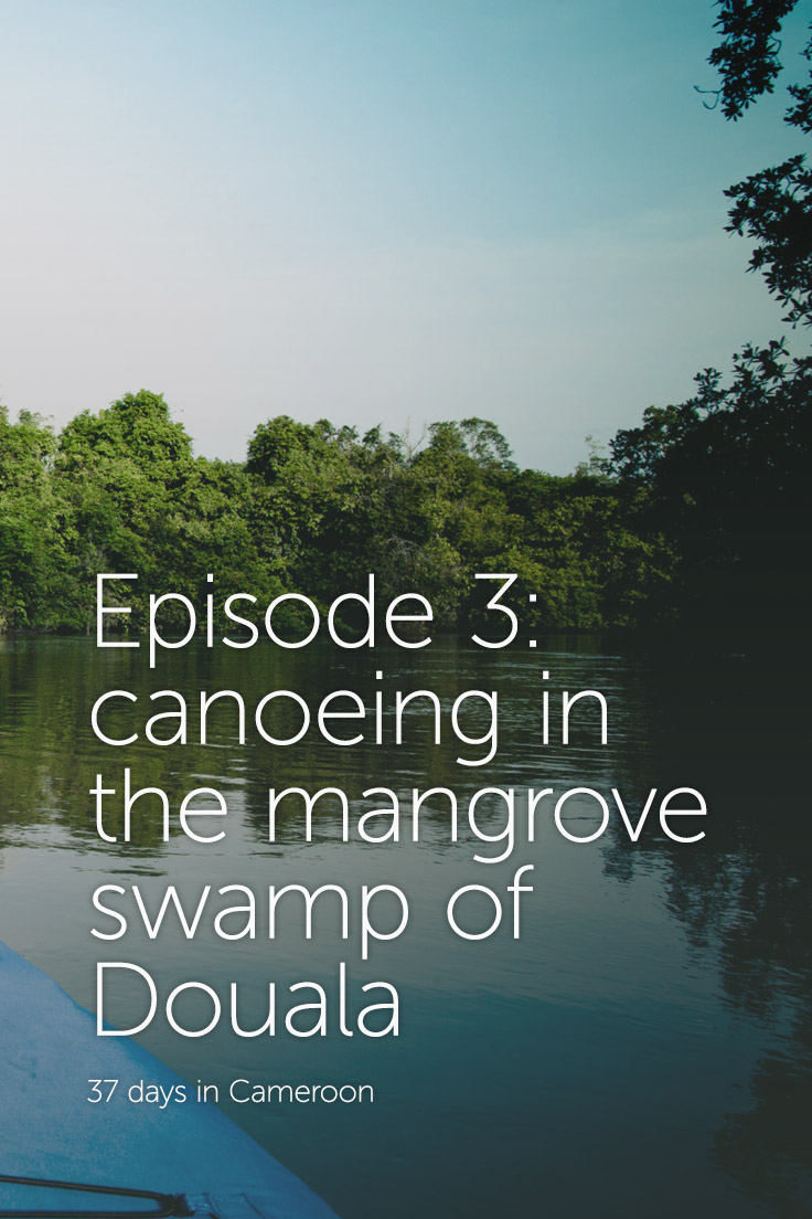 pisode 3 Cano Dans La Mangrove De Douala B renger Zyla Photographer pisode 3 Cano Dans La Mangrove De Douala B renger Zyla Photographer
