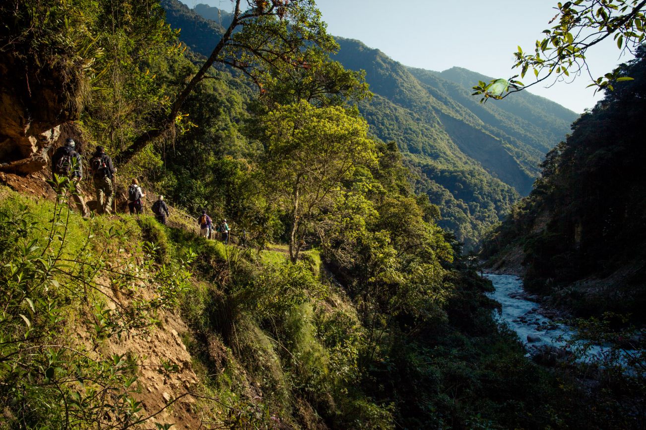 Jungle, Salkantay Trek, Pérou