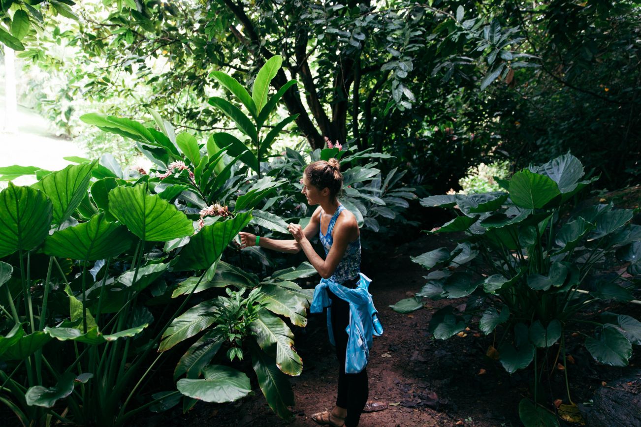 National Tropical Botanical Garden, Kaua'i, Hawai'i
