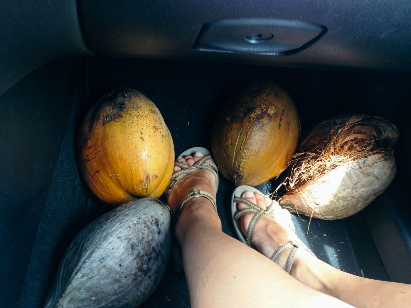 Coconuts at the feet in a car, Hawaii