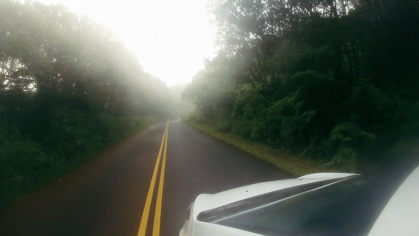 Road to Pu'u o Kila Lookout, Kaua'i, Hawaii