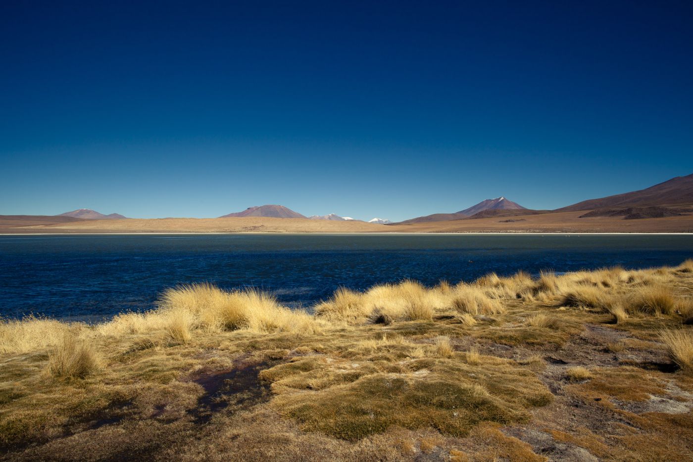 Laguna Hedionda, Bolivie