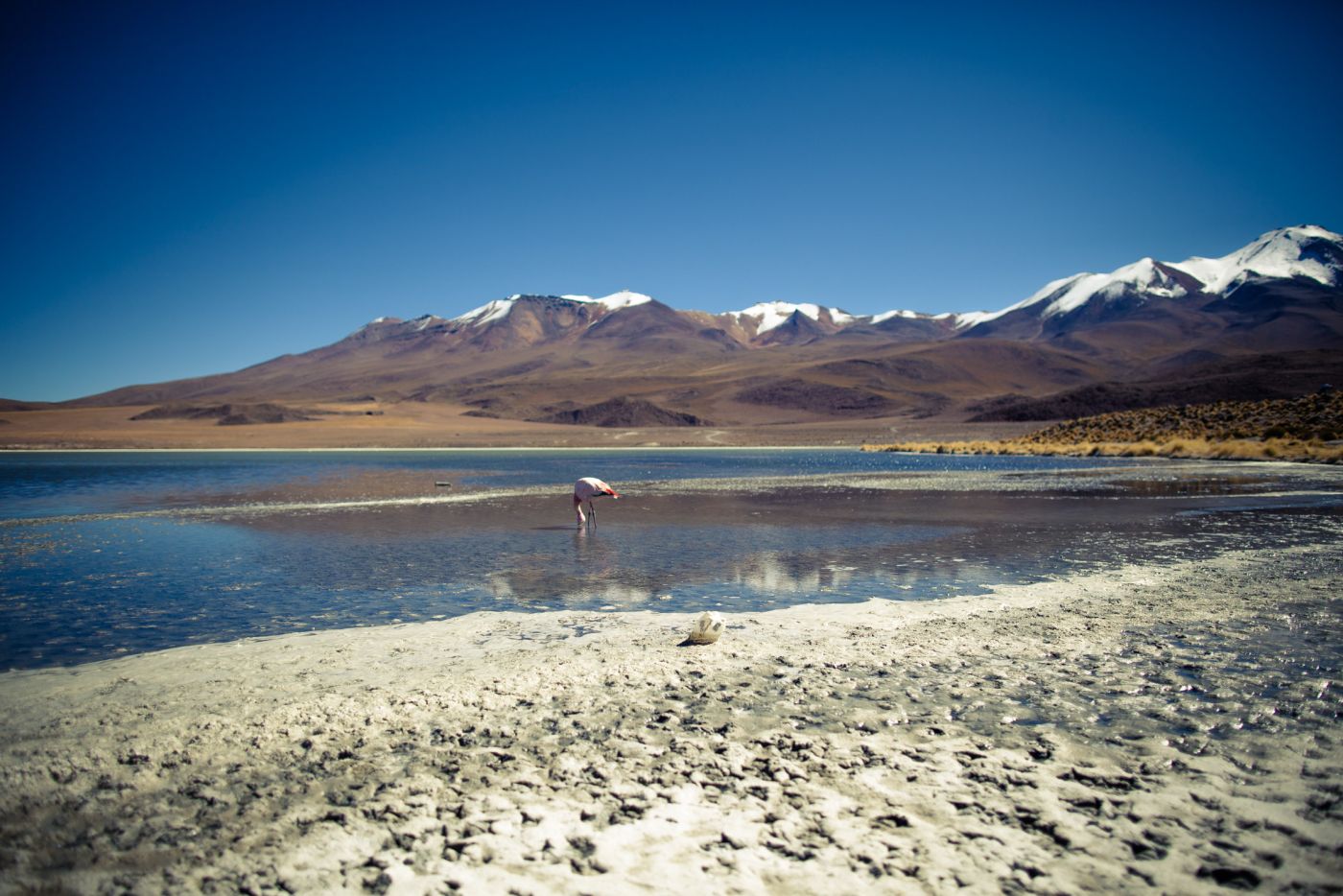 Laguna Hedionda, Bolivie