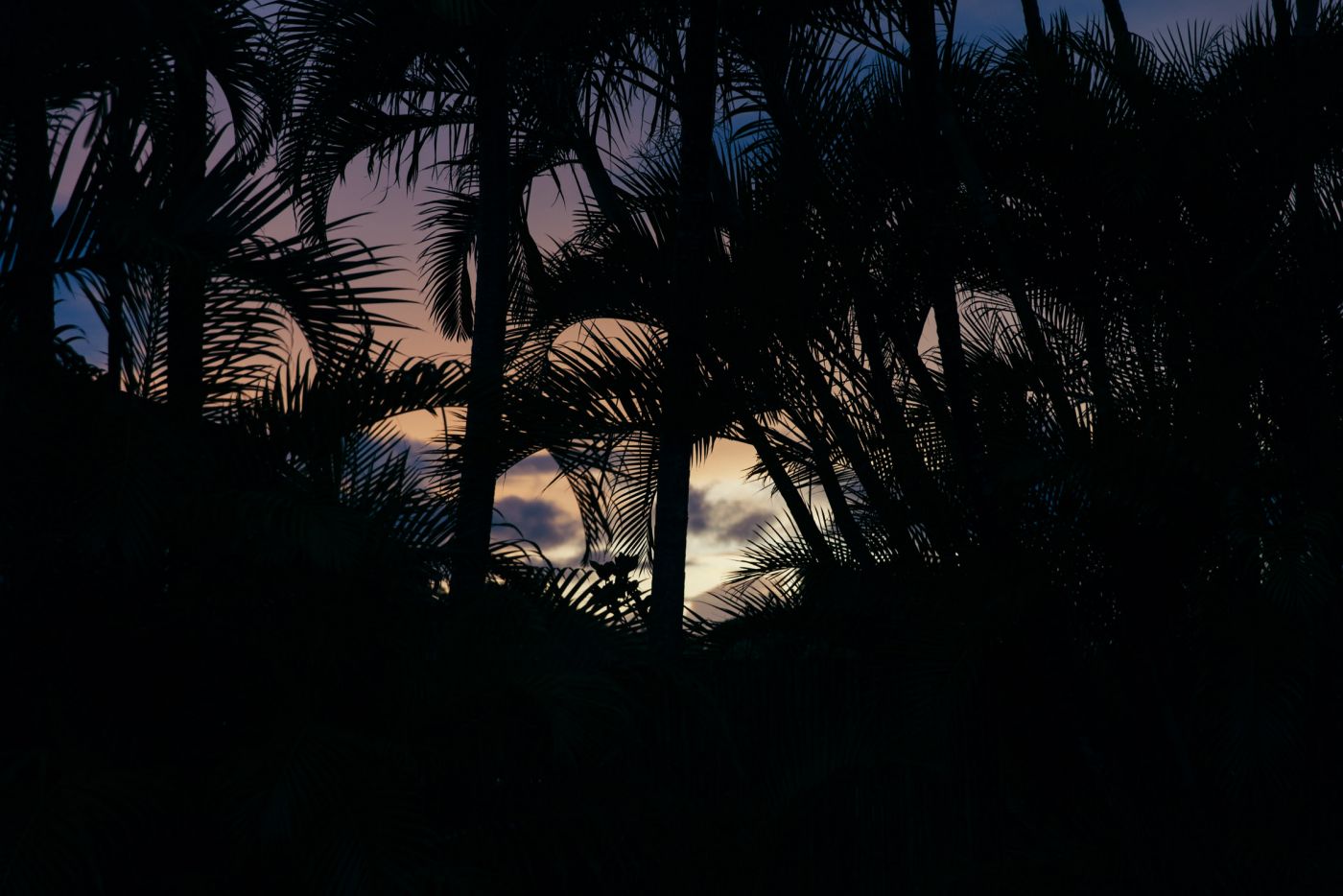 Sunrise, Koloa, Kaua'i, Hawai'i