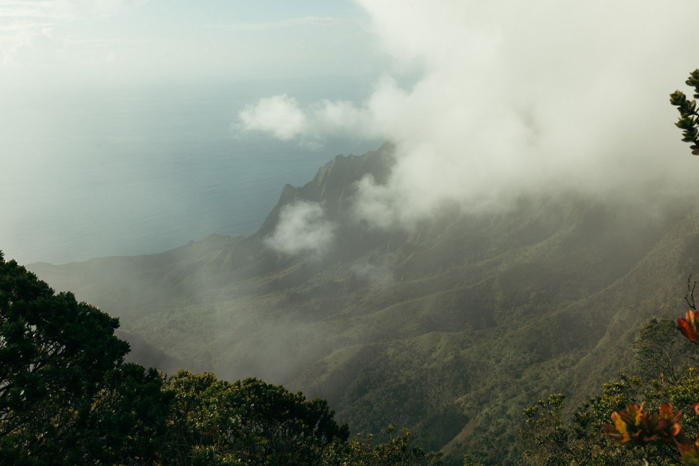 Kalalau Valley vue d'en haut, Koke'e State Park, Kaua'i, Hawaii