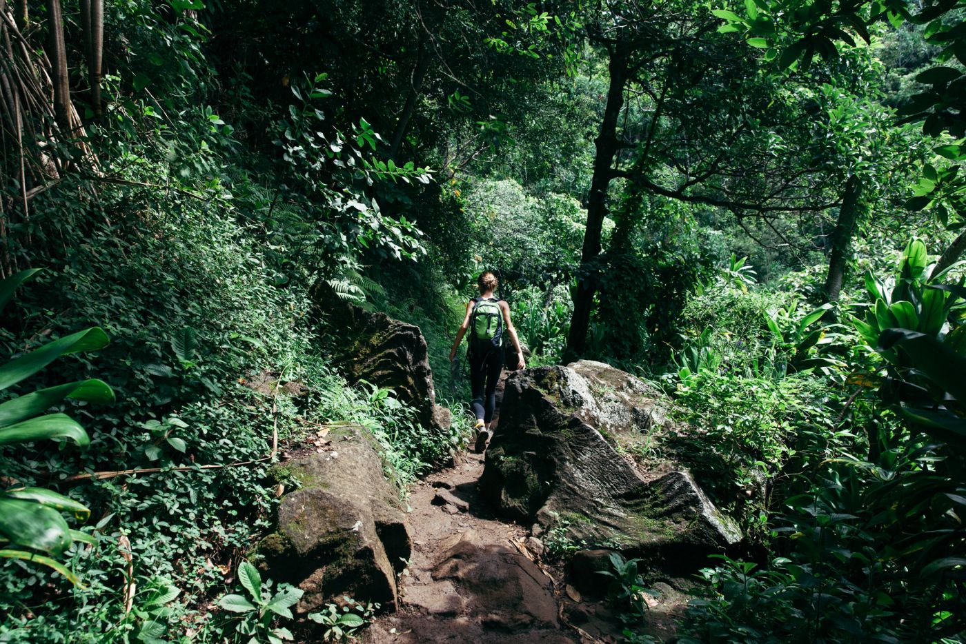 Woman hiking on Kalalau Trail, green, Kaua'i, Hawaii
