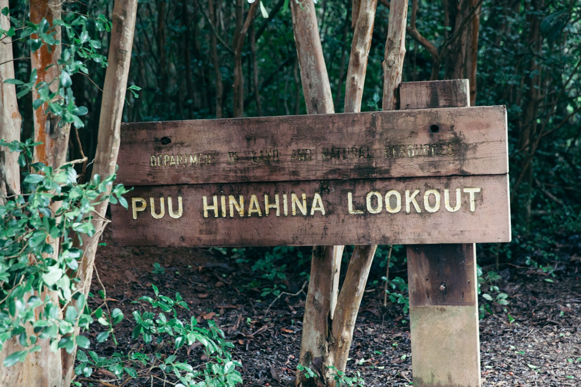 Puu Hinahina Lookout, Waimea Canyon and Koke'e State Park, Kaua'i, Hawaii