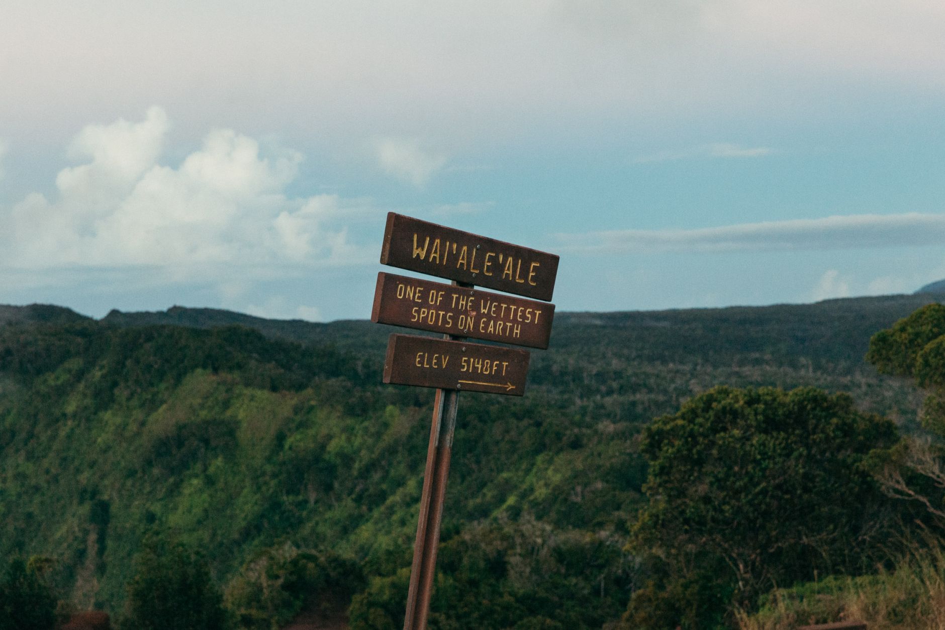 Wai'Ale'Ale sign, One of the wettest points on Earth, Koke'e State Park, Kaua'i, Hawaii