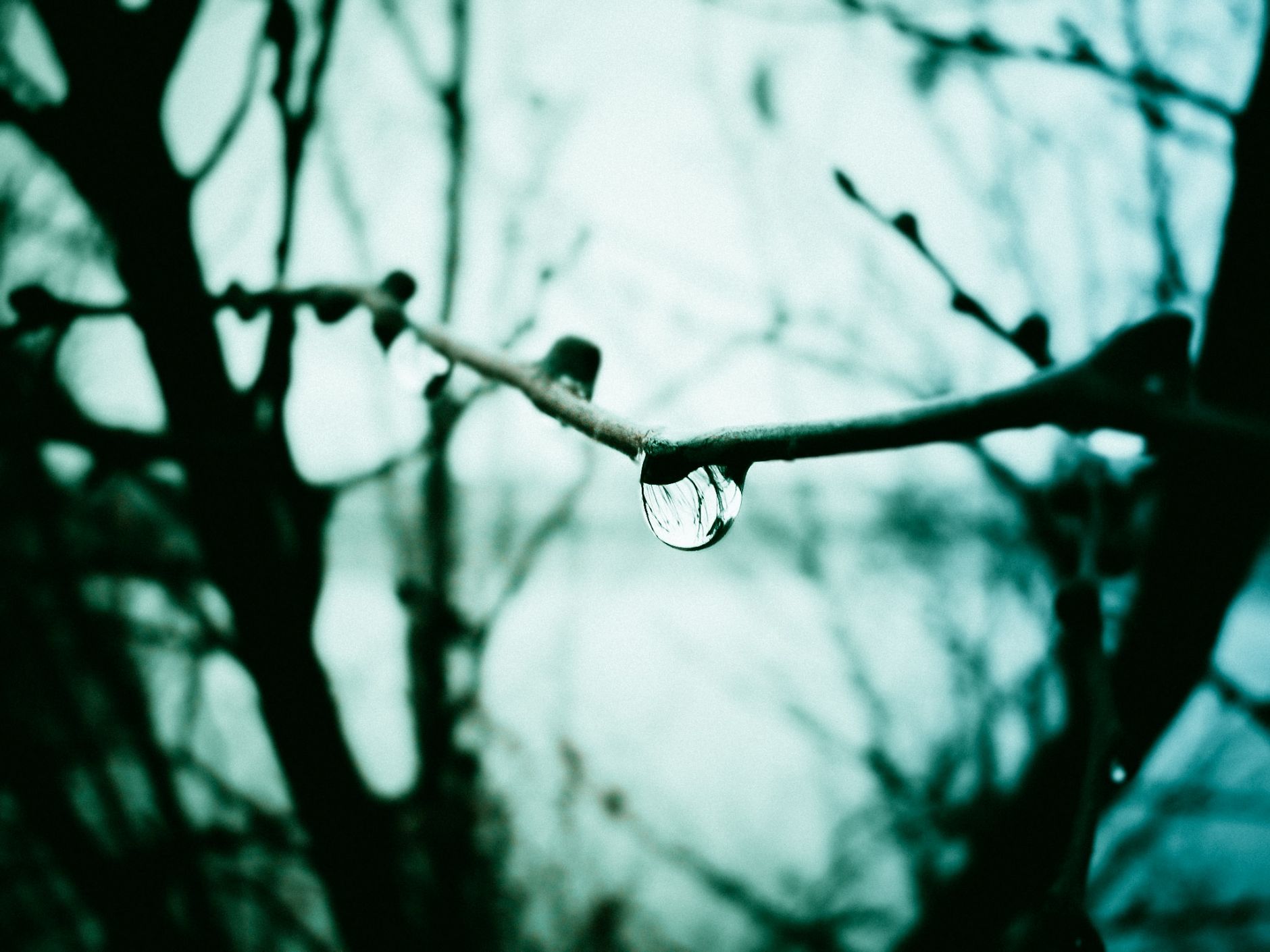 Water drop attached on branch in front of a river