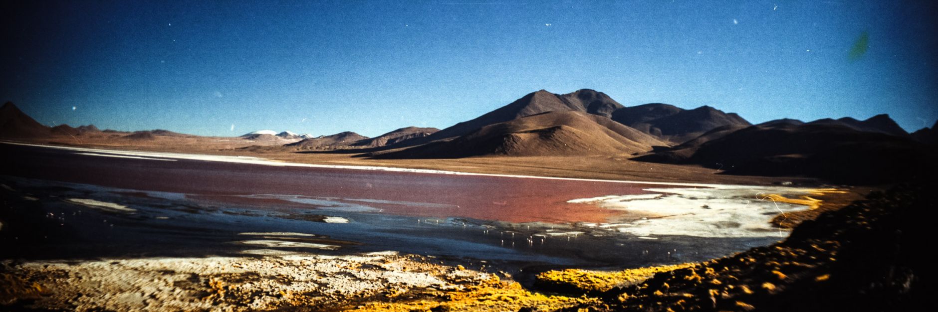 Laguna Colorada, Bolivie