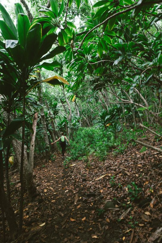 Episode 3: Kaua’i — Through Paradise. Nā Pali Coast and Kalalau Trail ...