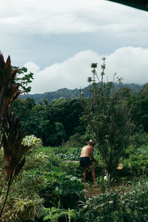 Man gardening, Kauai, Hawaii