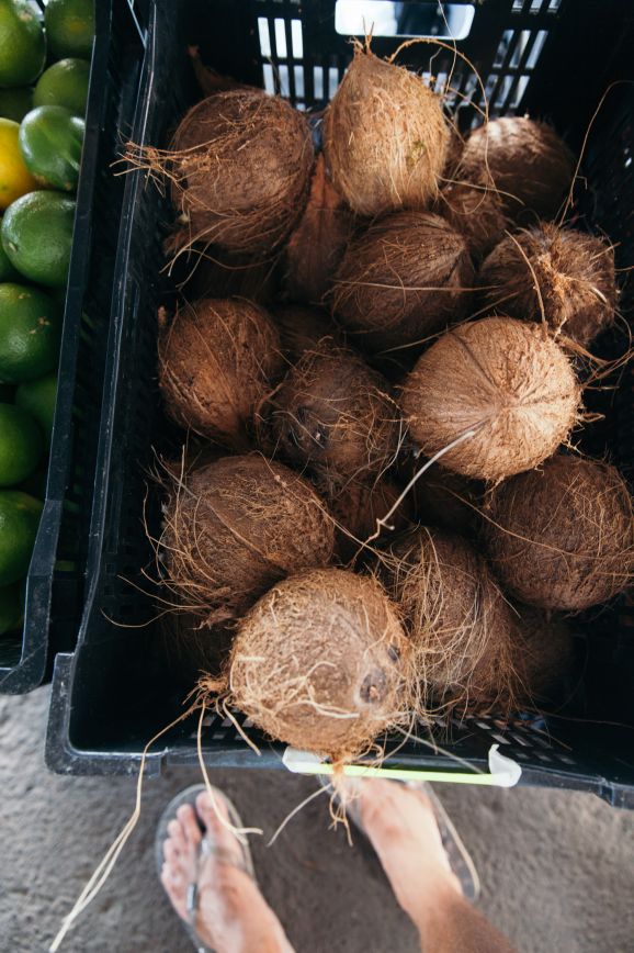 Coconuts, fresh market, Hilo, Hawaii