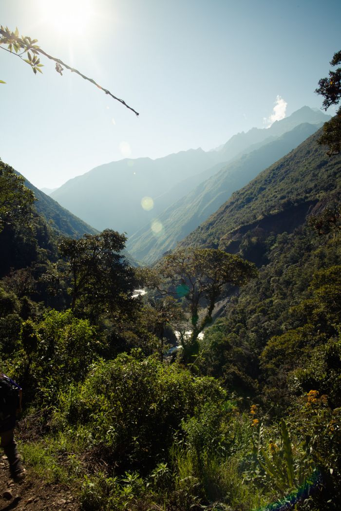 Jungle, Salkantay Trek, Peru
