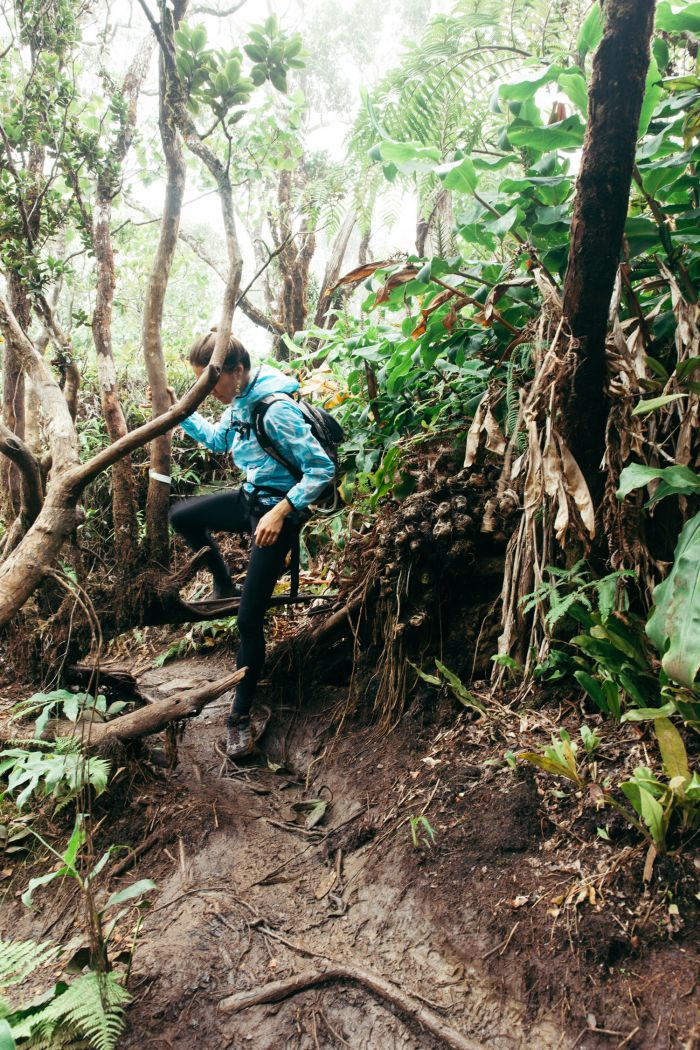 Hiking woman, Kalalau Valley, Koke'e State Park, Kaua'i, Hawaii