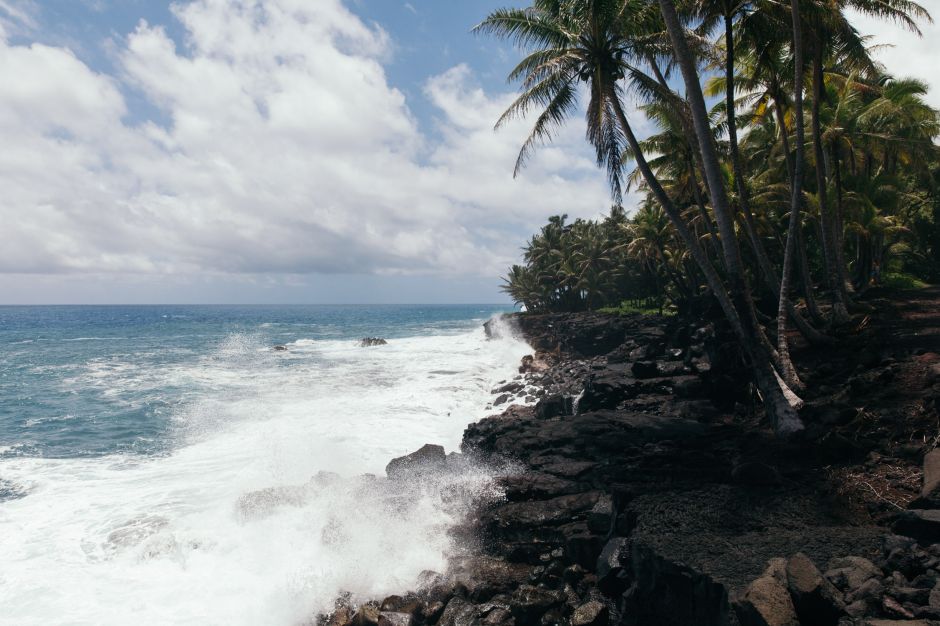 Palmier et Océan près de Kalapana-Kapoho Rd, Hawaii