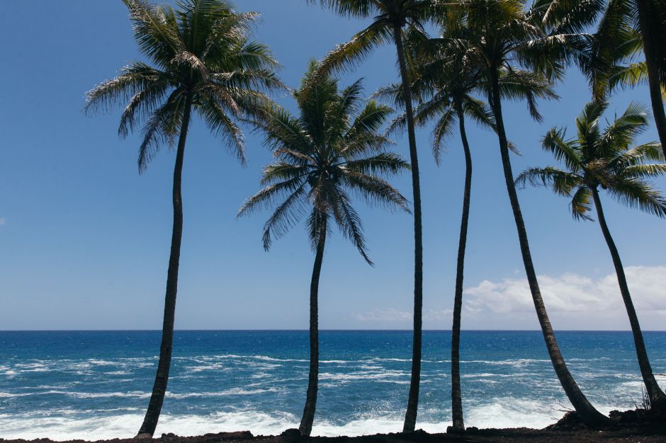 Océan et palmiers, Kalapana-Kapoho Rd, Hawaii